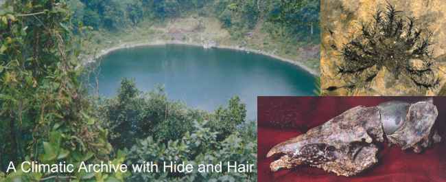 tropical Maarlake in Java (Foto: U. Kastenholz), moss, a 'dawn' horse-scull'