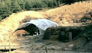 Excavation